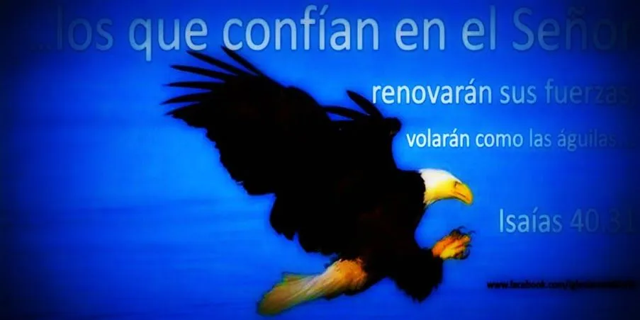 IGLESIA MAR ABIERTO: imagenes cristianas ANIMALITOS IGLESIA MAR ABIERTO: imagenes cristianas ANIMALITOS