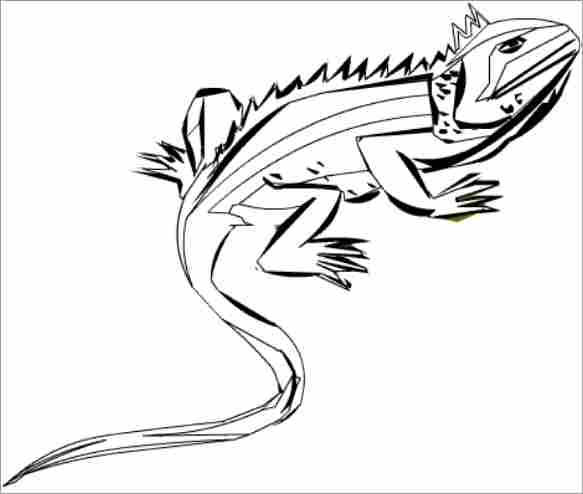 Iguana para colorear