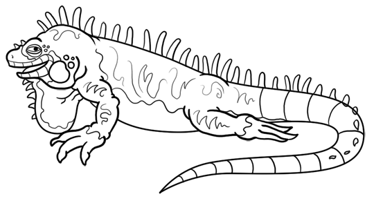 Iguana (dibujo para pintar) - Imagui