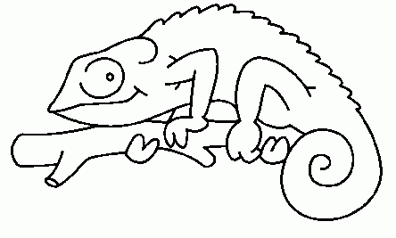 iguana para colorear - Buscar con Google | Colouring Pages ...