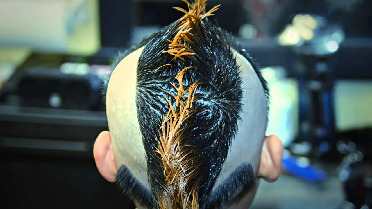 Iguana corte de pelo - YouTube