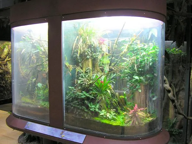Iguana's home - Size ~ My Pet