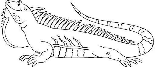IGUANAS DIBUJOS PARA COLOREAR | Dibujos para colorear IGUANAS DIBUJOS PARA COLOREAR | Dibujos para colorear