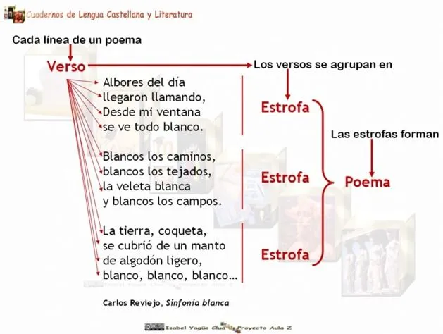II UNIDAD YO HABITO LA TIERRA (TERCERO)