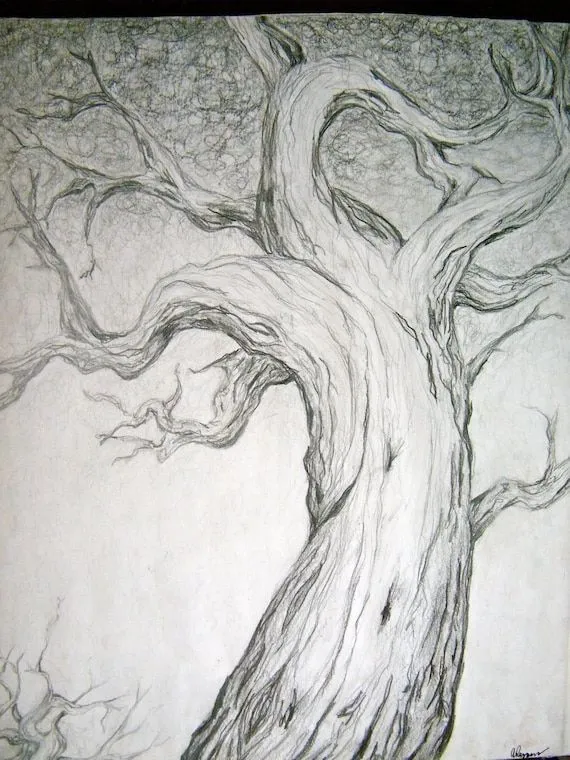 Dibujo arbol lapiz - Imagui