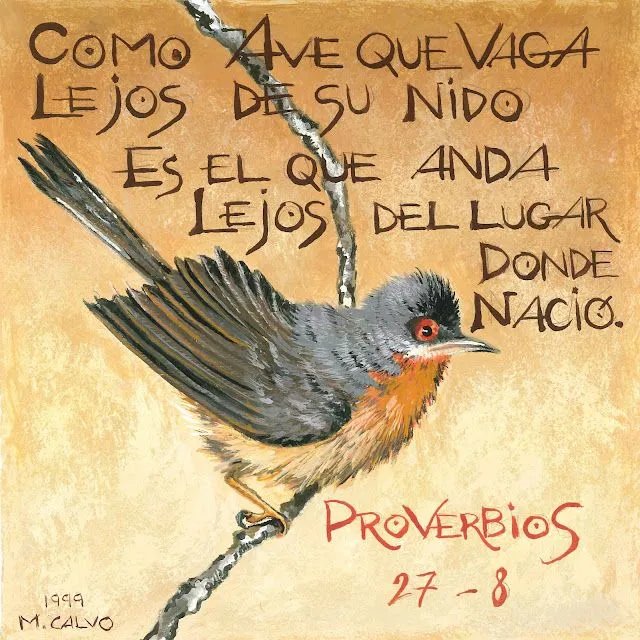 ILUSTRACIÓN de AVE | JOYERÍA EN PLATA