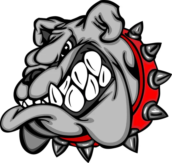 Ilustración de cara de dibujos animados de Bulldog — Vector stock ... Ilustración de cara de dibujos animados de Bulldog — Vector stock ...