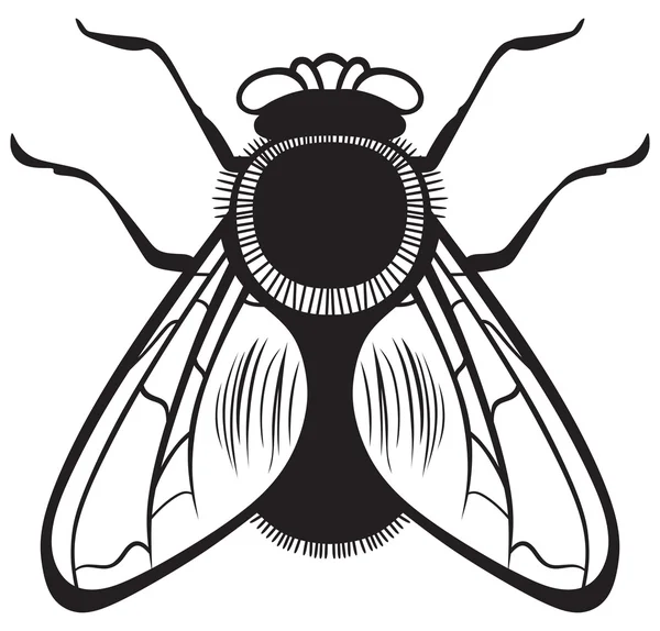 Ilustración de una mosca — Vector stock © Kreativ #27394865 Ilustración de una mosca — Vector stock © Kreativ #27394865