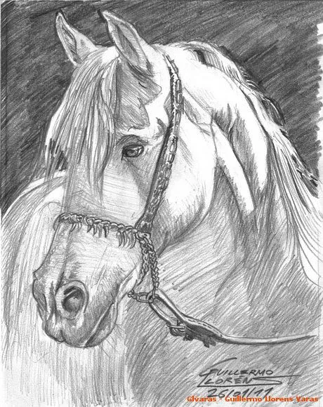 Cabezas de caballos para dibujar a lapiz faciles - Imagui Cabezas de caballos para dibujar a lapiz faciles - Imagui