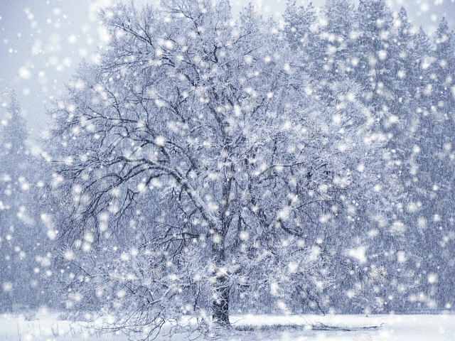 FOTOS DIBUJOS CULTURA GEOGRAFIA: FOTOS DE LA NIEVE FOTOS DIBUJOS CULTURA GEOGRAFIA: FOTOS DE LA NIEVE