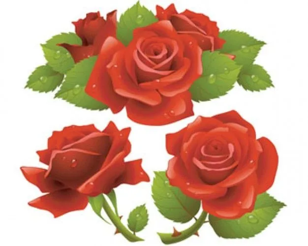 ilustraciones vectoriales rosas rojas | Descargar Vectores gratis