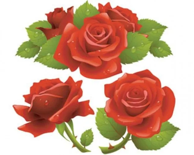 ilustraciones vectoriales rosas rojas | Descargar Vectores gratis ilustraciones vectoriales rosas rojas | Descargar Vectores gratis