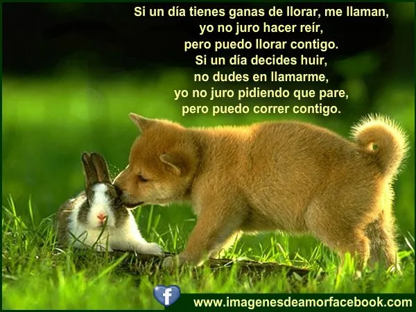IMAGENES CON FRASES BONITAS | Imaganes, amor y mas
