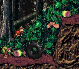 Image - Maldicion de selva.png - Donkey Kong Wiki Image - Maldicion de selva.png - Donkey Kong Wiki