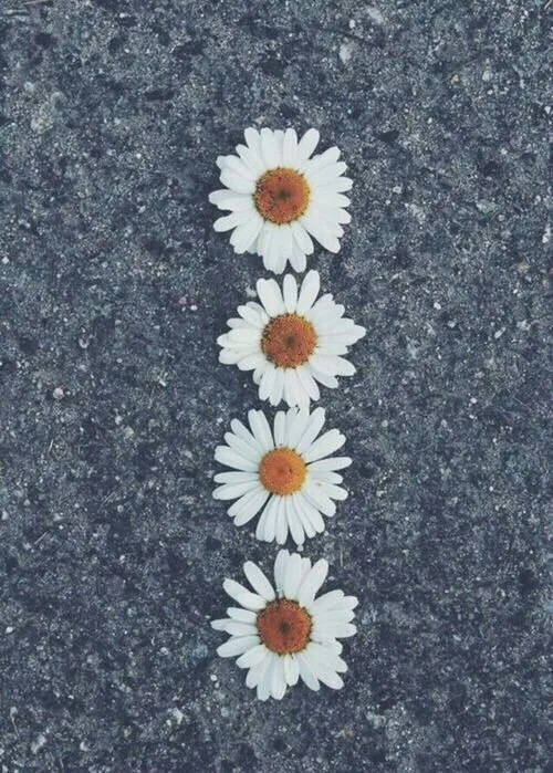 Image via We Heart It https://weheartit.com/entry/167324818 ... Image via We Heart It https://weheartit.com/entry/167324818 ...
