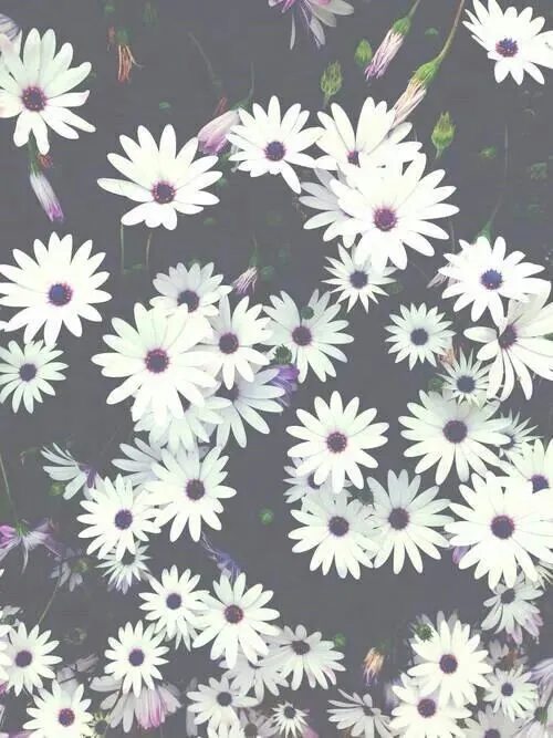 Image via We Heart It https://weheartit.com/entry/172921145 ... Image via We Heart It https://weheartit.com/entry/172921145 ...