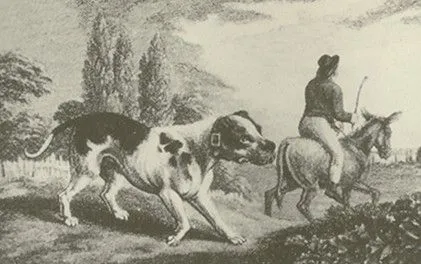 image012.jpg