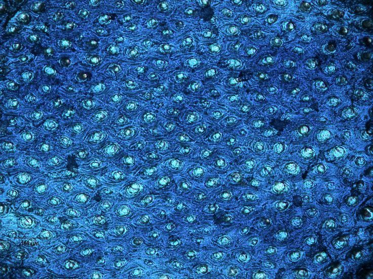 Image34.jpg (1600×1200) | AZUL-PATRONES-TEXTURAS~BLUE-PATTERNS ...