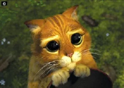 imagem com piadas pra facebook recados gifs animada:Piadas para ... imagem com piadas pra facebook recados gifs animada:Piadas para ...