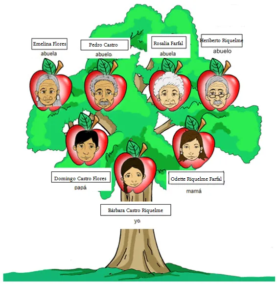 Como dibujo un arbol genealogico - Imagui