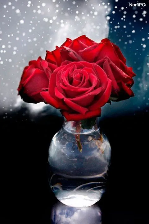 Imagen de amor para usar como fondo de pantalla en el celular ... Imagen de amor para usar como fondo de pantalla en el celular ...