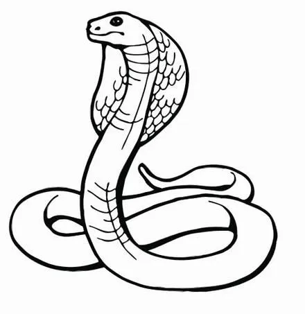 Imagen de una anaconda para colorear - Imagui Imagen de una anaconda para colorear - Imagui
