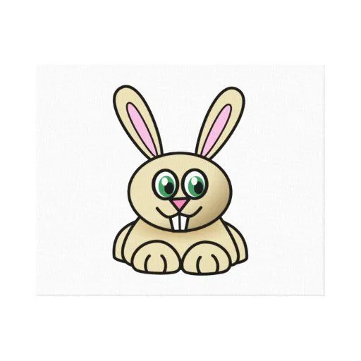 Un conejo animado - Imagui