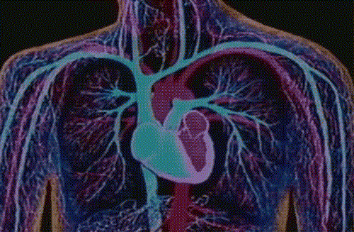 Corazón latiendo | Gifs animados