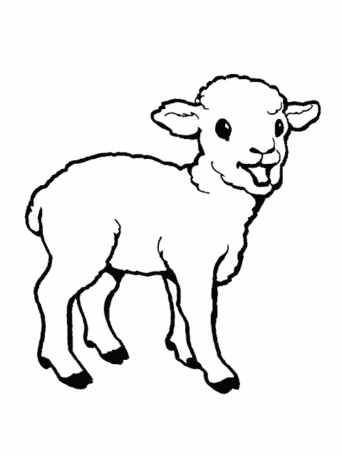 Borregos para colorear - Imagui