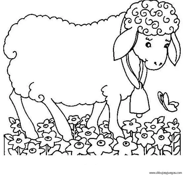 dibujo-de-oveja-016 | Dibujos y juegos, para pintar y colorear dibujo-de-oveja-016 | Dibujos y juegos, para pintar y colorear