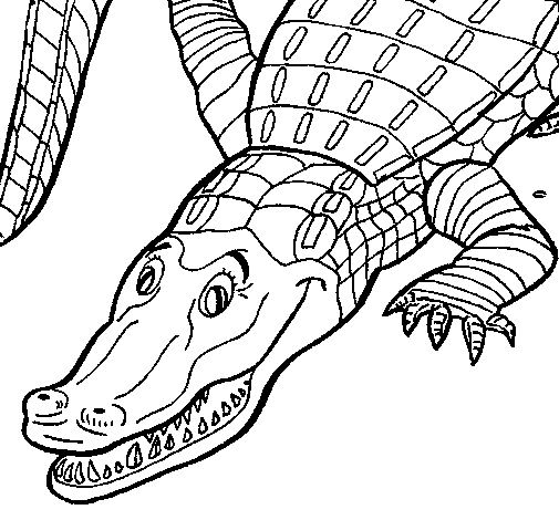 Cocodrilo del orinoco para dibujar - Imagui