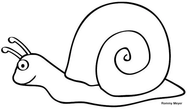 2 caracoles para colorear - Imagui