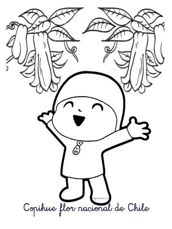 Dibujo de COPIHUE para colorear - Imagui Dibujo de COPIHUE para colorear - Imagui