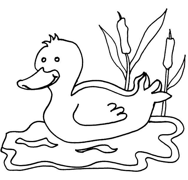 IMAGEN PARA COLOREAR DE PATOS EN EL LAGO - Imagui IMAGEN PARA COLOREAR DE PATOS EN EL LAGO - Imagui