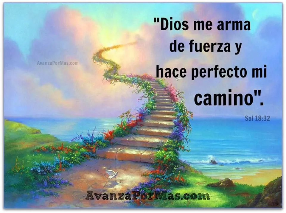 IMAGEN)