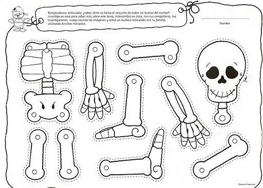 Marionetas de esqueleto para colorear | Manualidades Infantiles ... Marionetas de esqueleto para colorear | Manualidades Infantiles ...