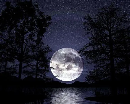 Imagen - Fondos-noche-estrellada.jpg - Wiki Creepypasta - Wikia Imagen - Fondos-noche-estrellada.jpg - Wiki Creepypasta - Wikia