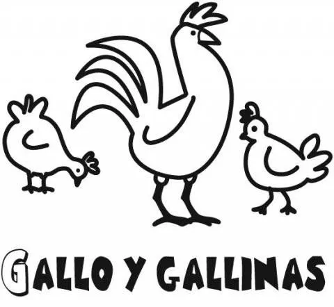 15410-4-dibujos-gallo-y- ...