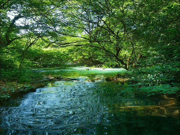 Paisajes con Cascadas en movimiento. | Gifs de Naturaleza y ... Paisajes con Cascadas en movimiento. | Gifs de Naturaleza y ...