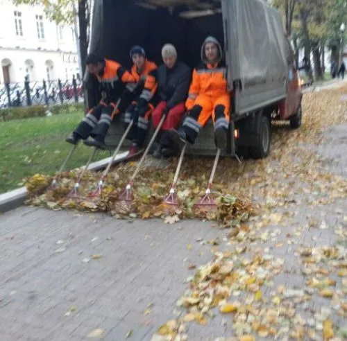 Imagen graciosa de hombres trabajando duro desde el camión Imagen graciosa de hombres trabajando duro desde el camión