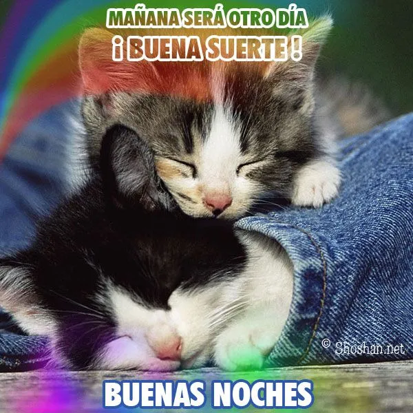 Imagen gratis para desear Buenas noches y buena suerte