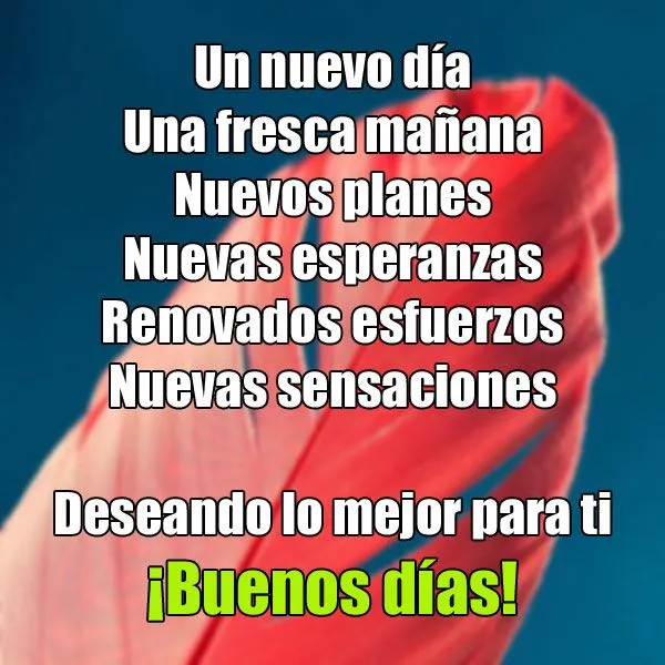 Imagen gratis de Buenos días con renovados esfuerzos y nuevas ... Imagen gratis de Buenos días con renovados esfuerzos y nuevas ...