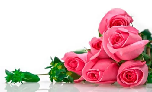 Imagen de http://floristeriaarrixaca.com/wp-content/uploads/2014 ... Imagen de http://floristeriaarrixaca.com/wp-content/uploads/2014 ...