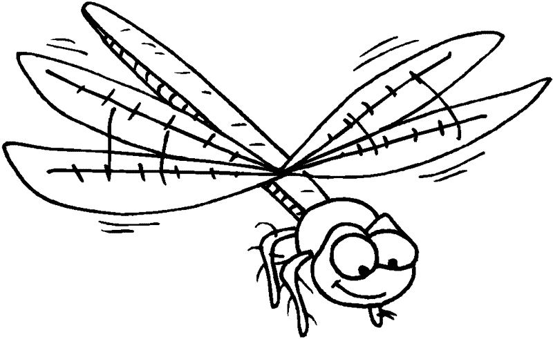 Dibujos para colorear de Insectos, Plantillas para colorear de ... Dibujos para colorear de Insectos, Plantillas para colorear de ...