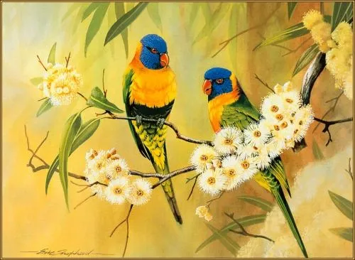 Imagen Lamina de Aves y Flores - grupos.emagister.com