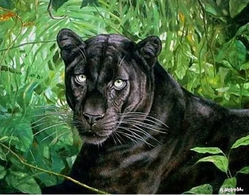 Imagen - Los-13-animales-carnivoros-mas1.jpg - Wiki ACAM