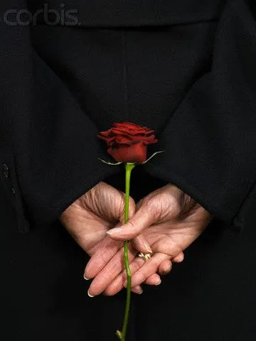 Una flor para mi Shino...