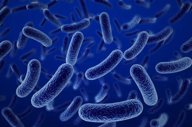 Qué es Microorganismo? - Su Definición, Concepto y Significado Qué es Microorganismo? - Su Definición, Concepto y Significado