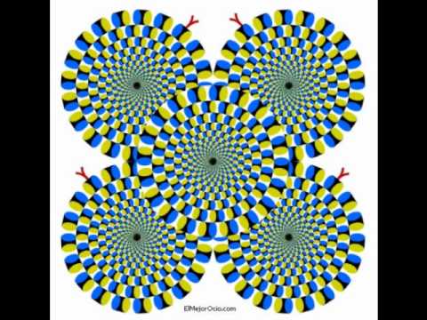 imagen que se mueve - Videos | Videos relacionados con imagen que ... imagen que se mueve - Videos | Videos relacionados con imagen que ...