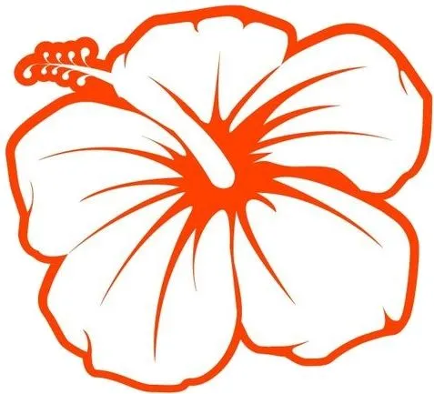 Flor hawaiana para pintar - Imagui